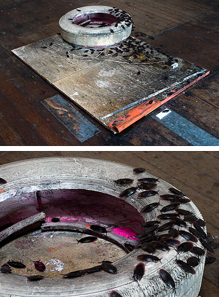 christian ebert art christian ebert art