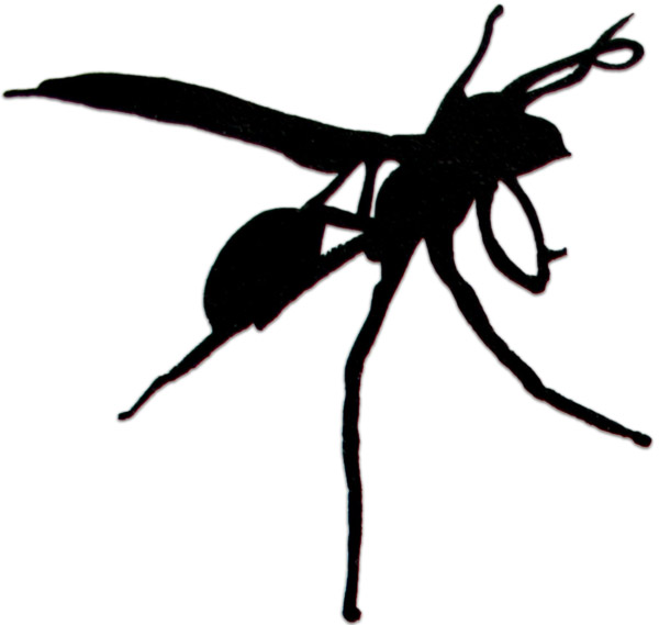 christian ebert art christian ebert art